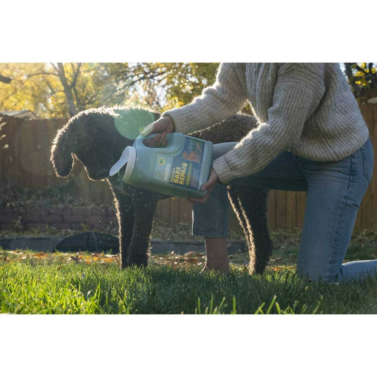 Sunday Pet Lawn Bare Repair Grass - Image 5