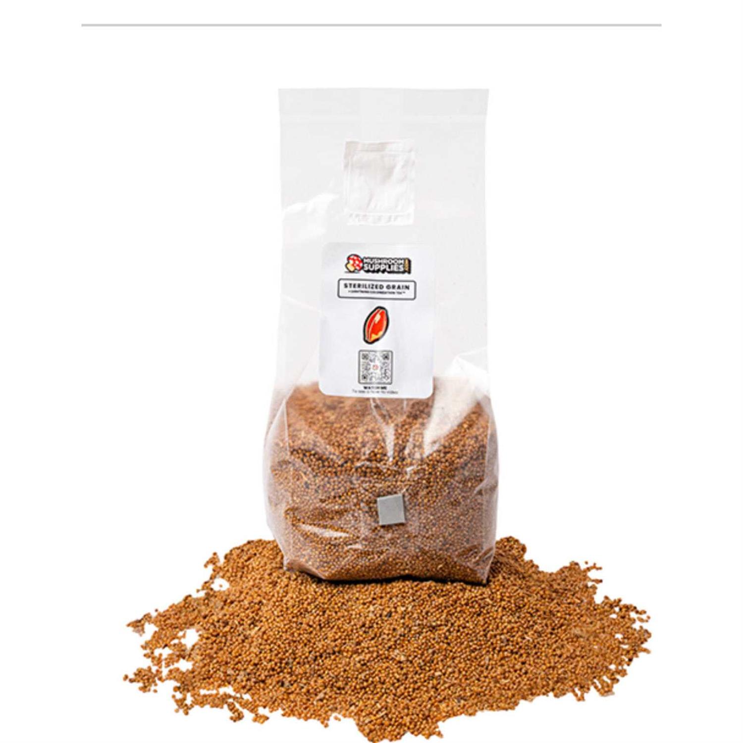 MushroomSupplies Grain Spawn Bag 3lb