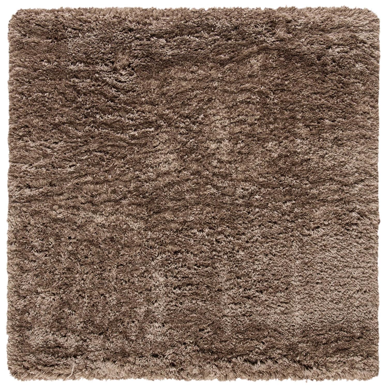 Safavieh Rug Shag - Image 5