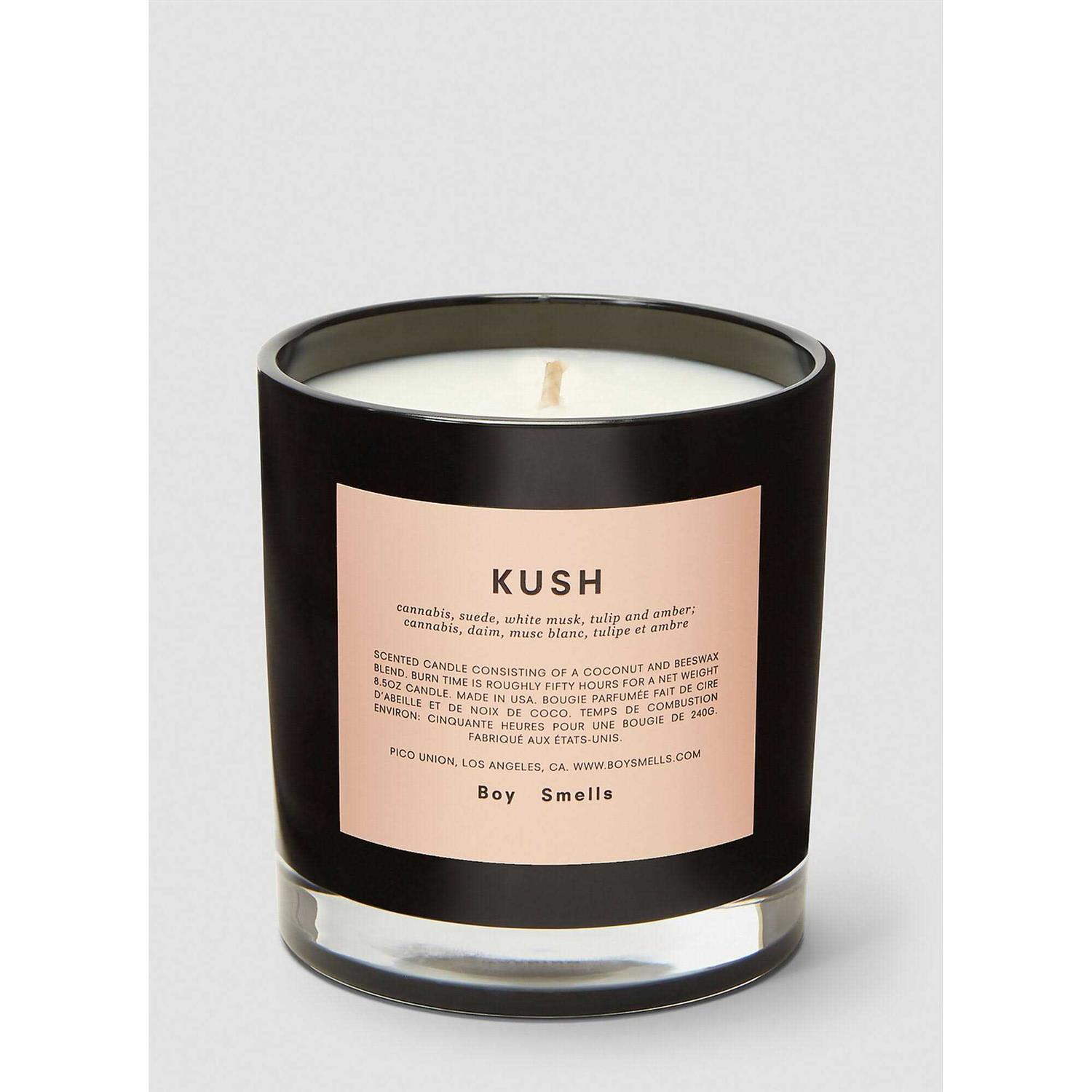 Boy Smells Candle - Image 4
