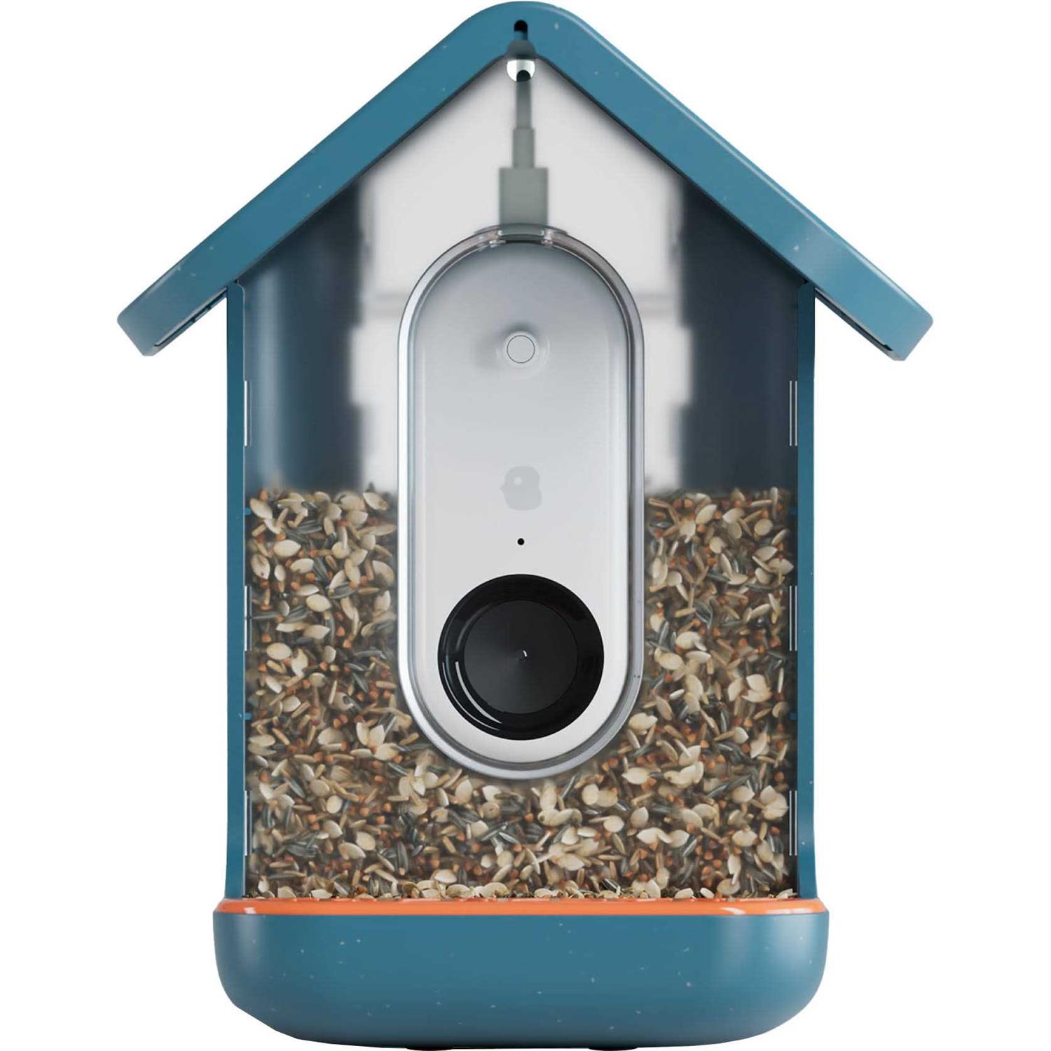 Bird Buddy Smart Feeder with Solar Roof by Kyle Buzzard - Image 3
