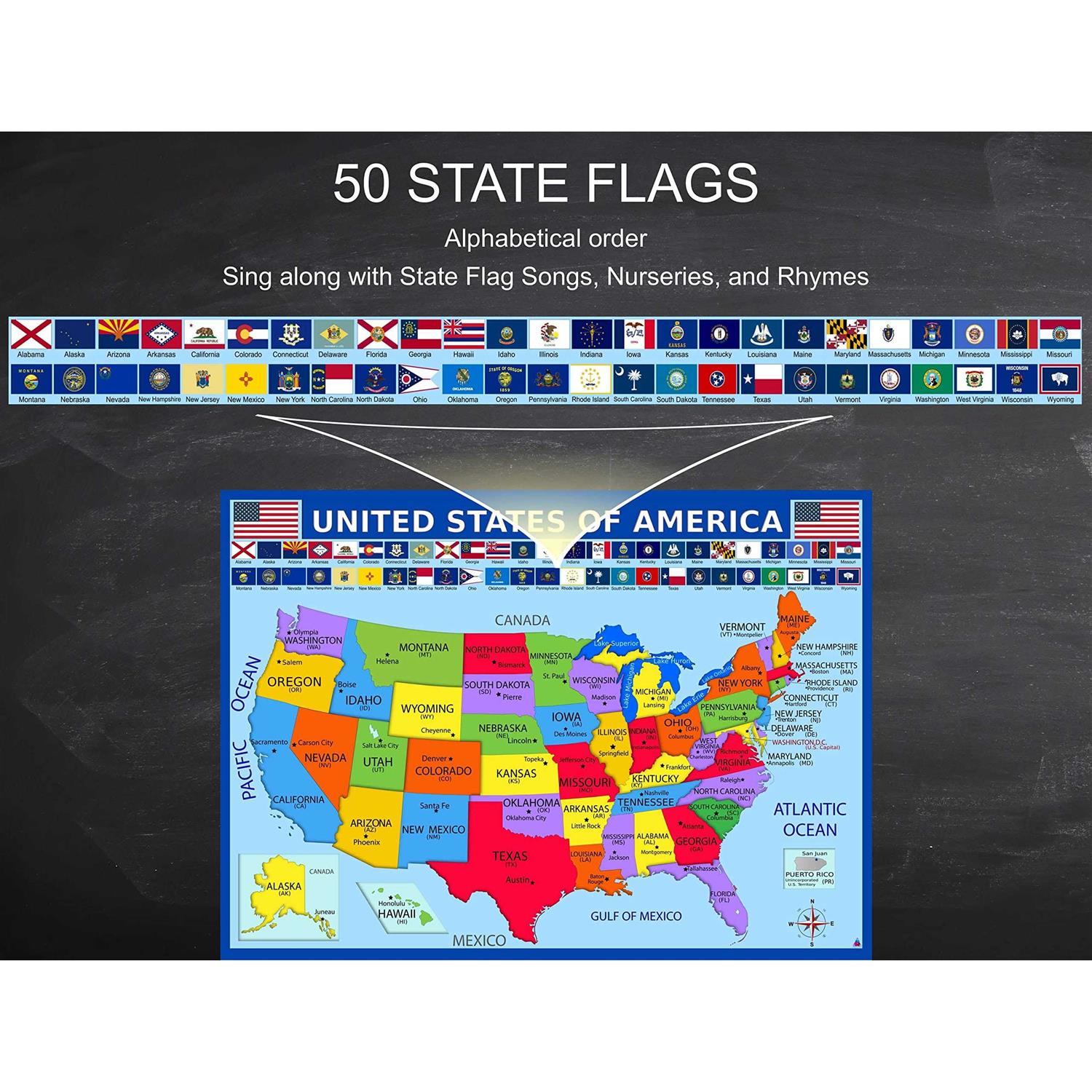 United States Map with State Flags Poster Laminated 14x19.5 - Image 4