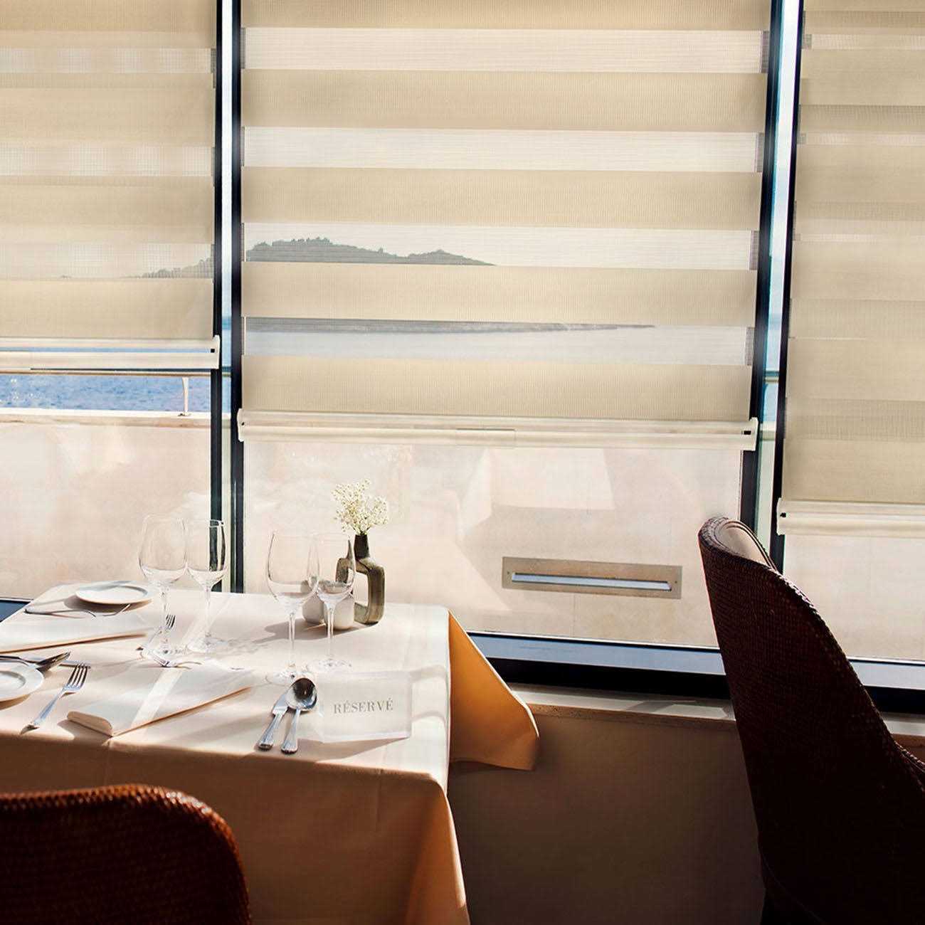 Chicology Cordless Zebra Shades - Image 5