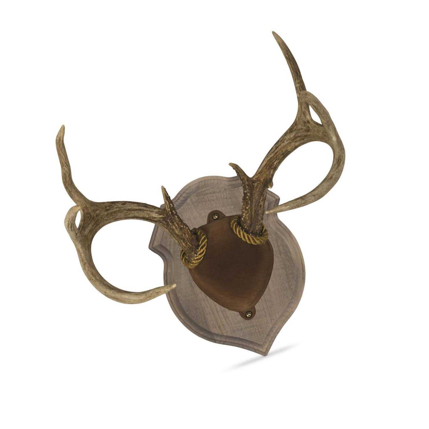Walnut Hollow Deluxe Antler Display Kit - Image 3